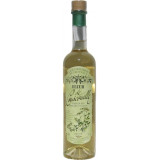 Fleur d'angélique sauvage (couscouille ou Coscoll)